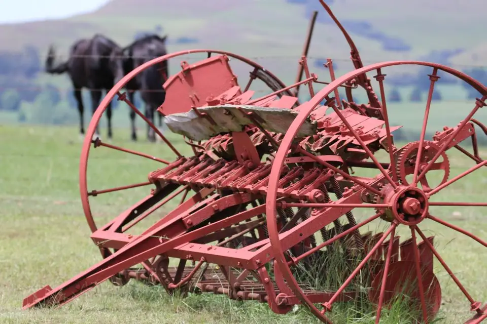 KZN14.jpg(46).jpg