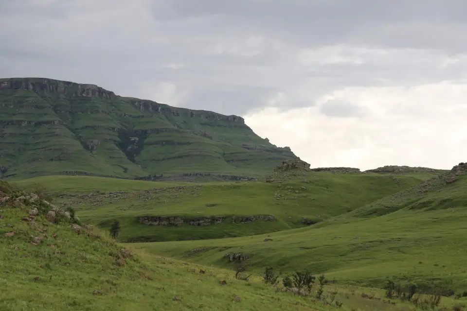 KZN14.jpg(76).jpg