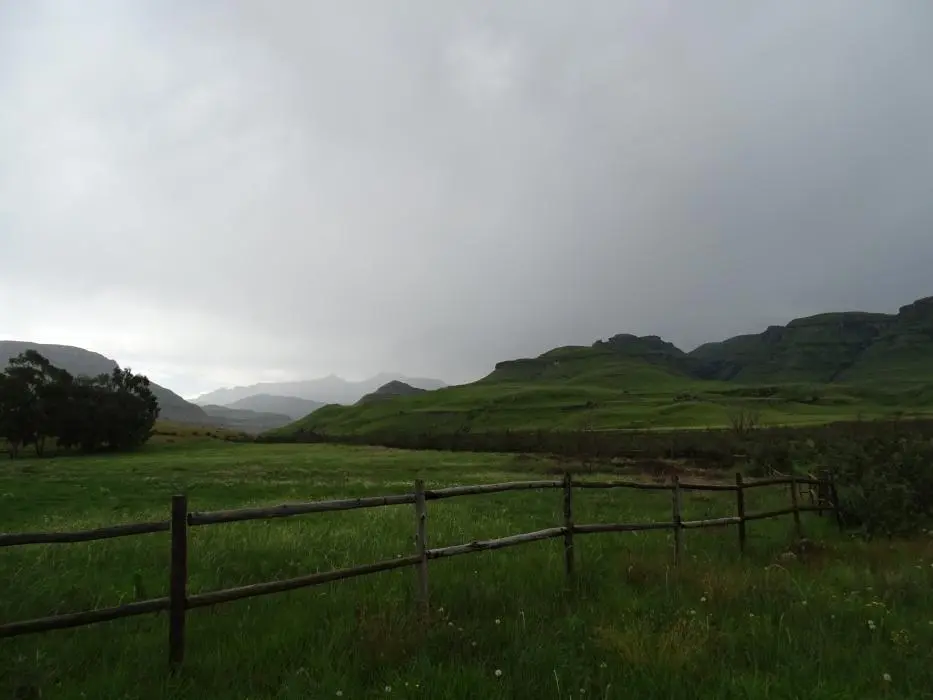 KZN14.jpg(79).jpg