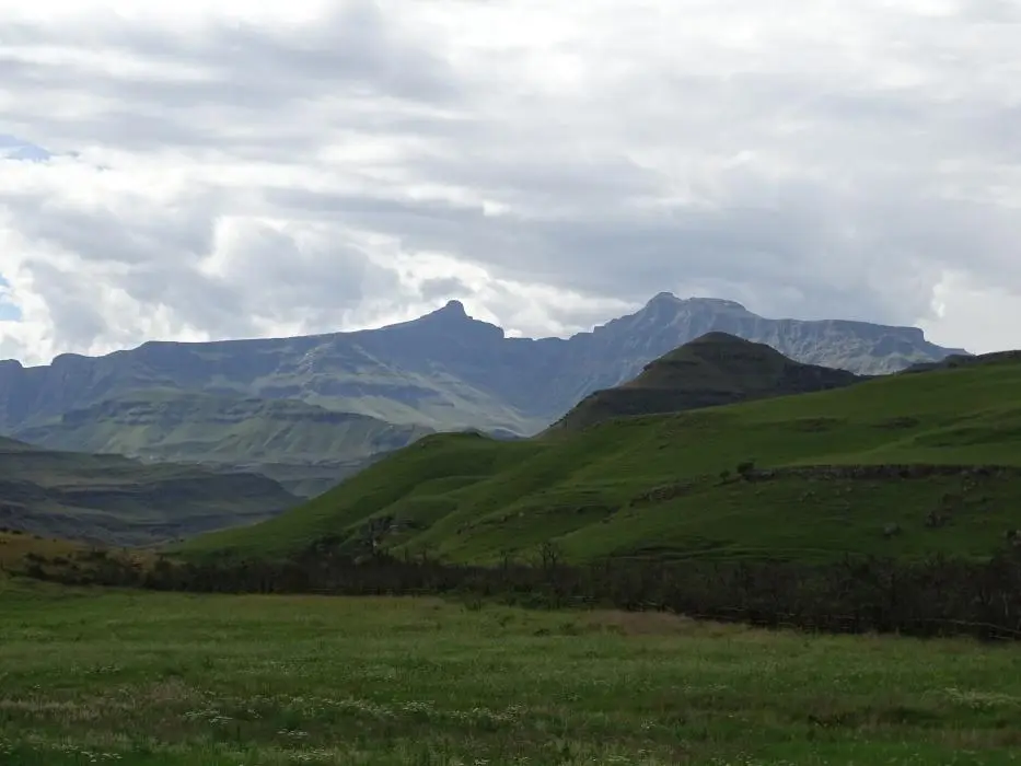 KZN14.jpg(82).jpg