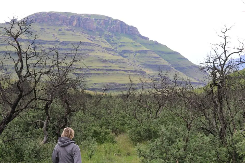 KZN14.jpg(87).jpg