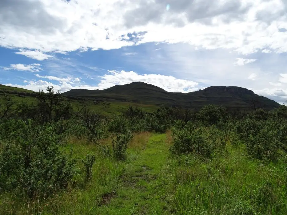 KZN14.jpg(90).jpg
