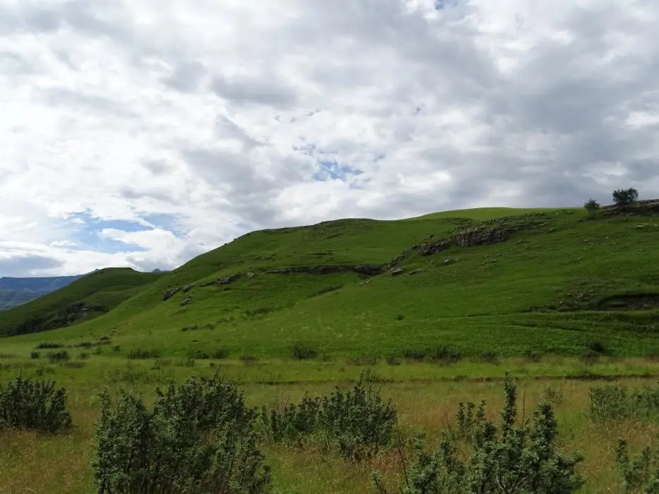 KZN14.jpg(92).jpg