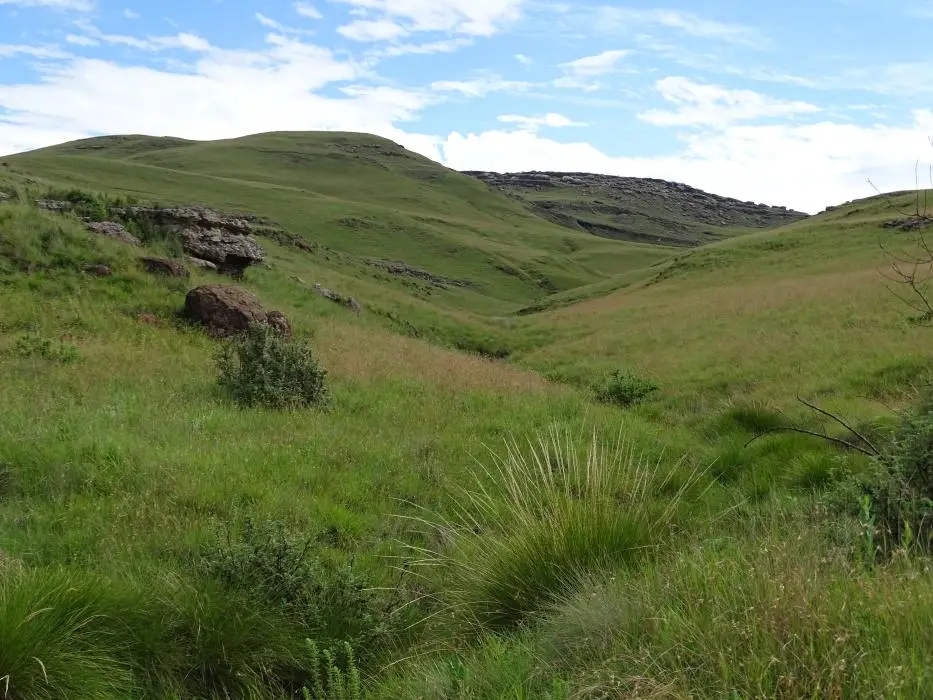 KZN14.jpg(96).jpg