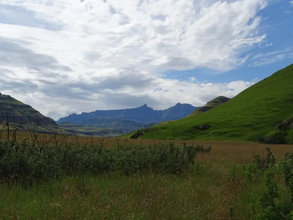 KZN14.jpg(97).jpg