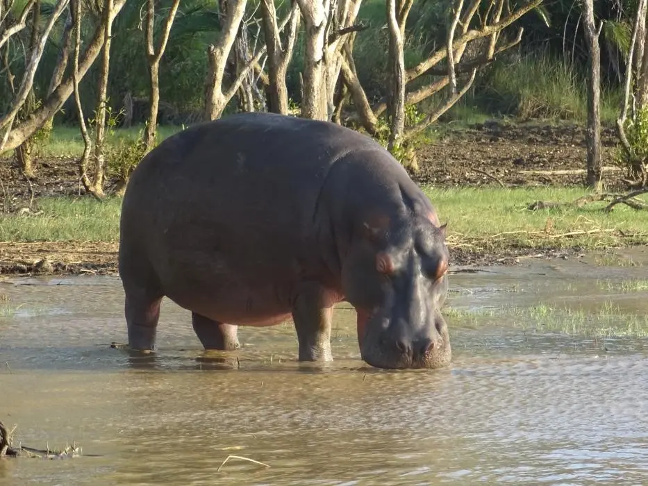 KZN15.jpg(103).jpg