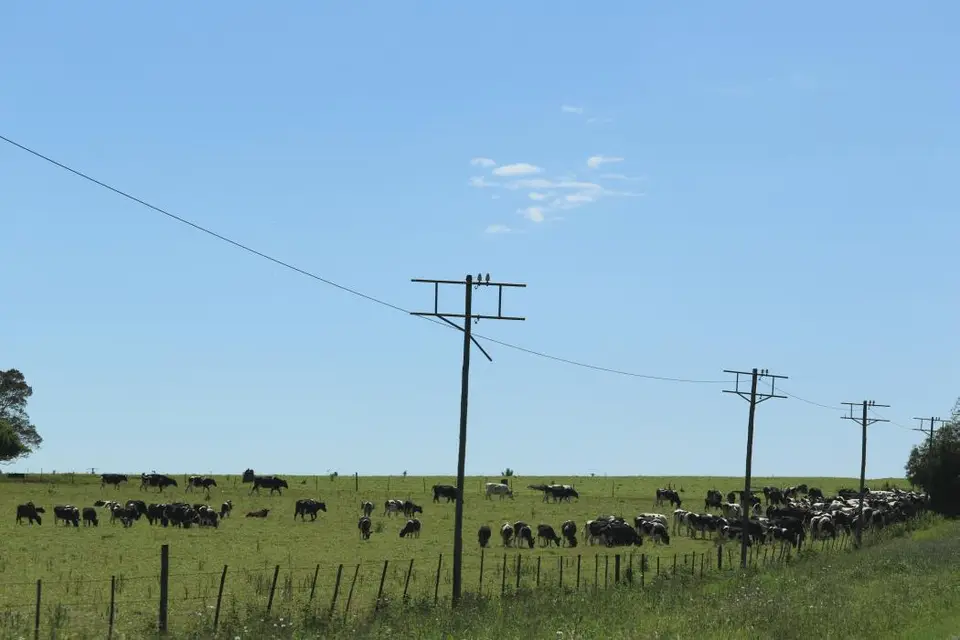 KZN15.jpg(11).jpg