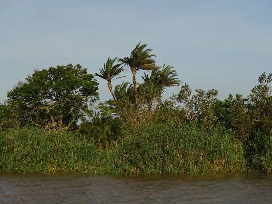 KZN15.jpg(116).jpg
