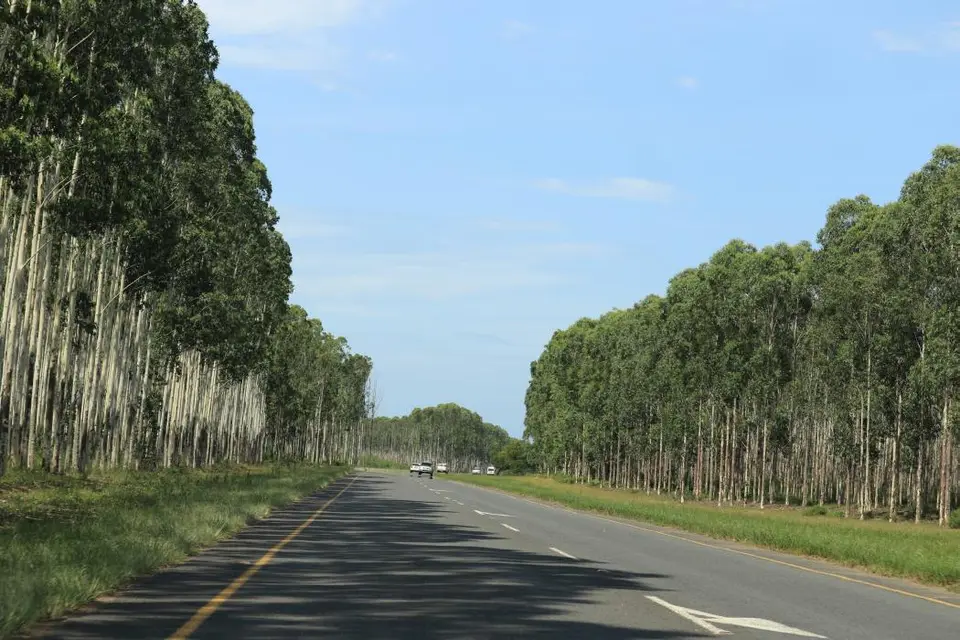 KZN15.jpg(45).jpg