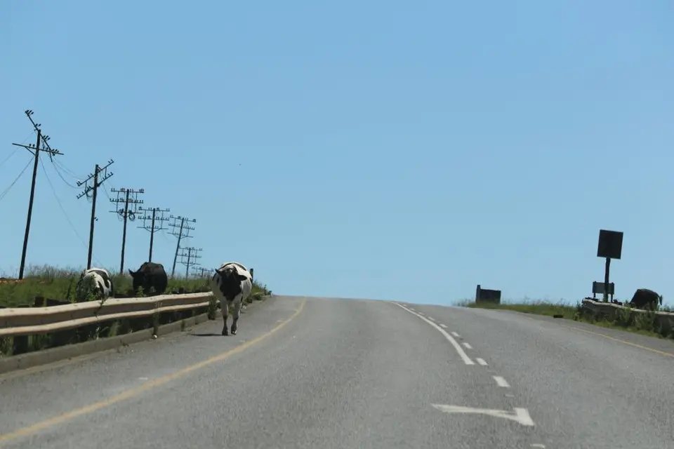 KZN15.jpg(7).jpg