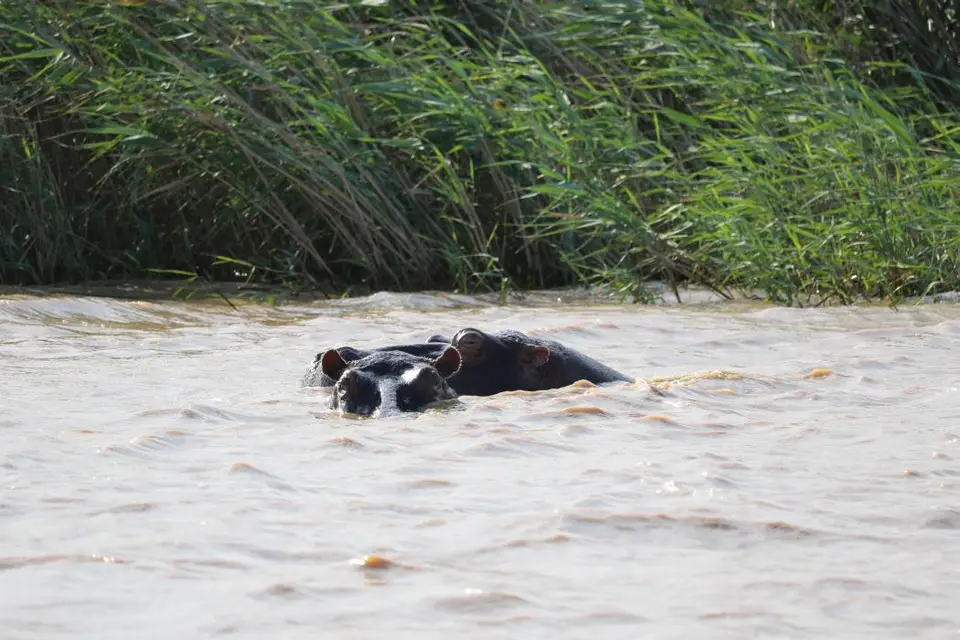 KZN15.jpg(74).jpg