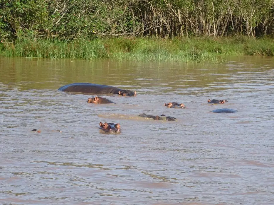 KZN15.jpg(79).jpg
