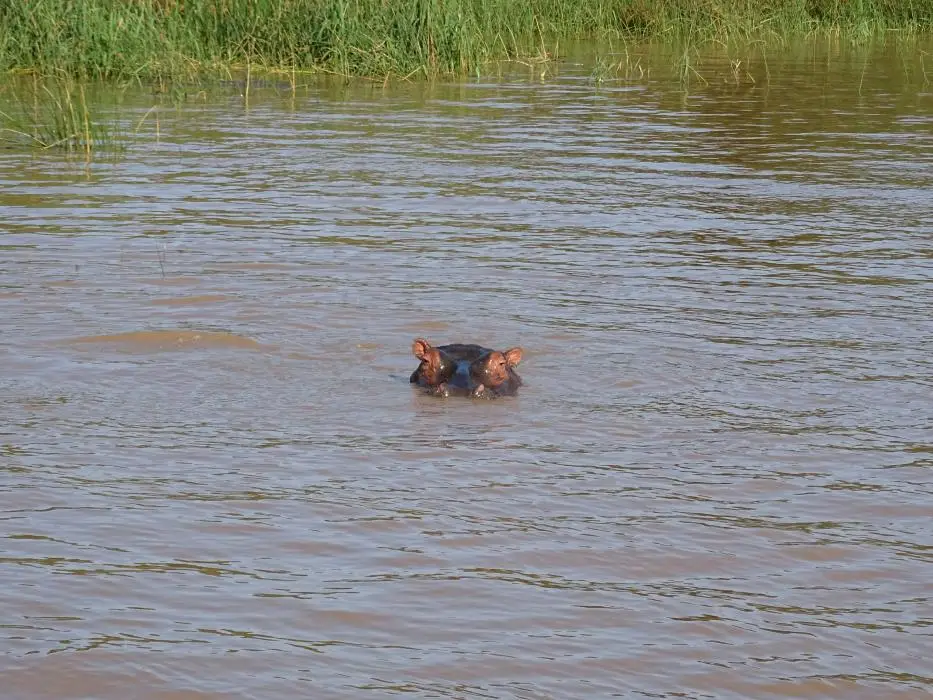 KZN15.jpg(80).jpg