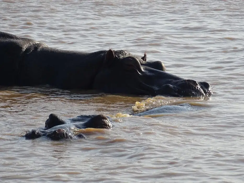 KZN15.jpg(87).jpg