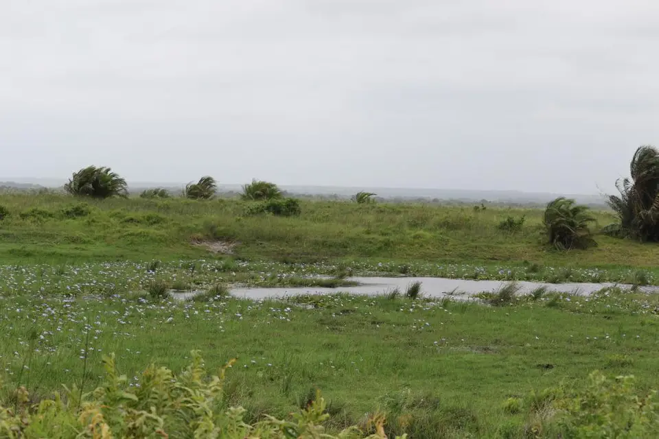 KZN16.jpg(12).jpg