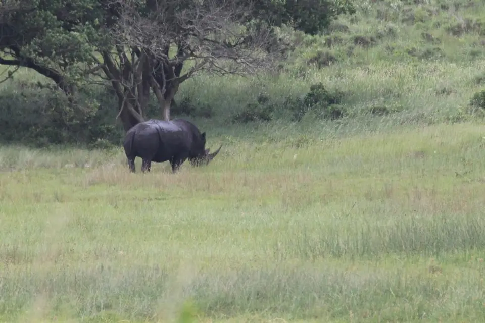 KZN16.jpg(15).jpg