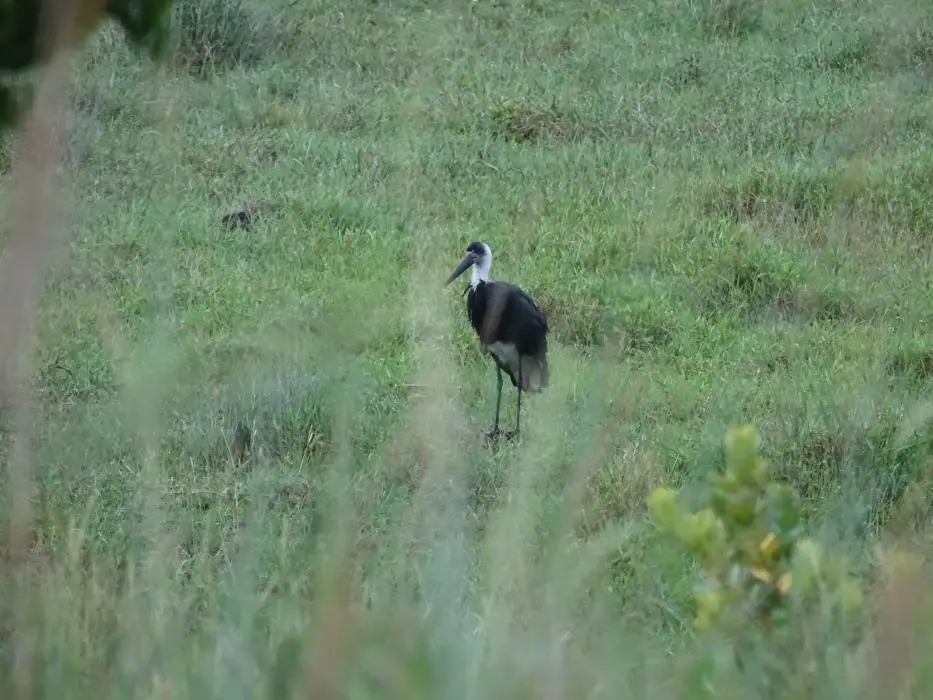KZN16.jpg(182).jpg