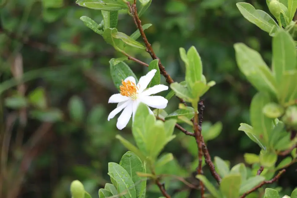 KZN16.jpg(185).jpg