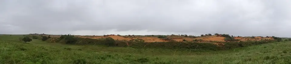 KZN16.jpg(187).jpg