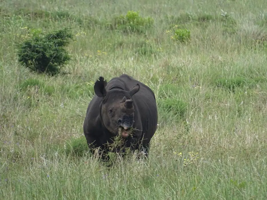 KZN16.jpg(195).jpg