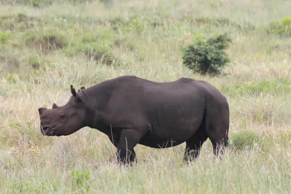KZN16.jpg(199).jpg