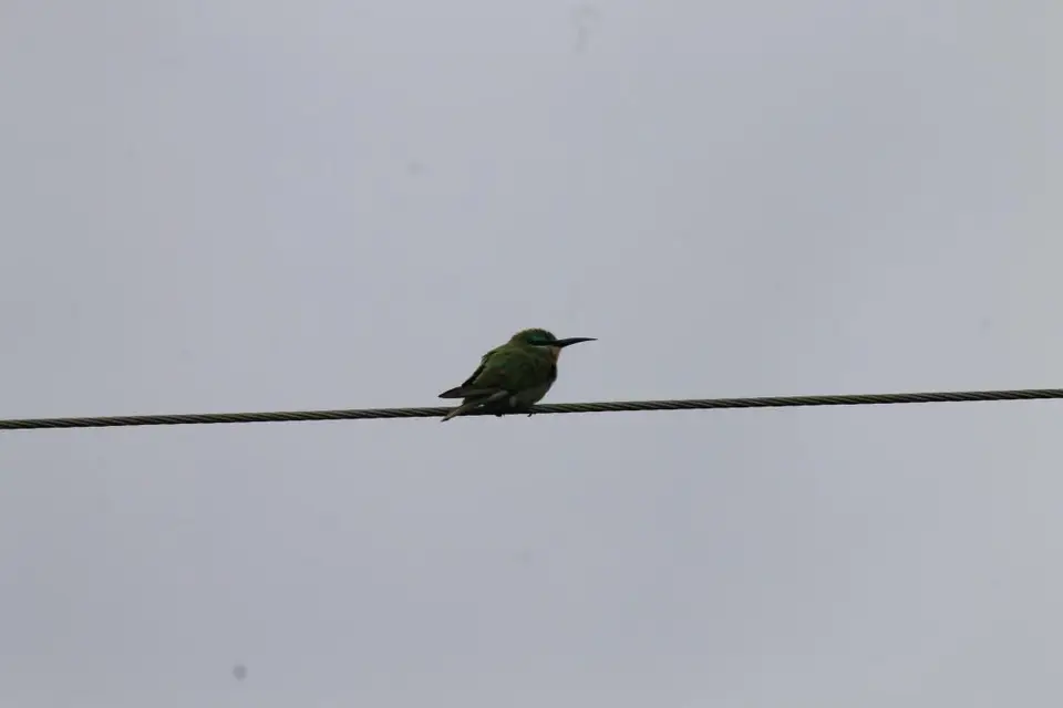 KZN16.jpg(212).jpg