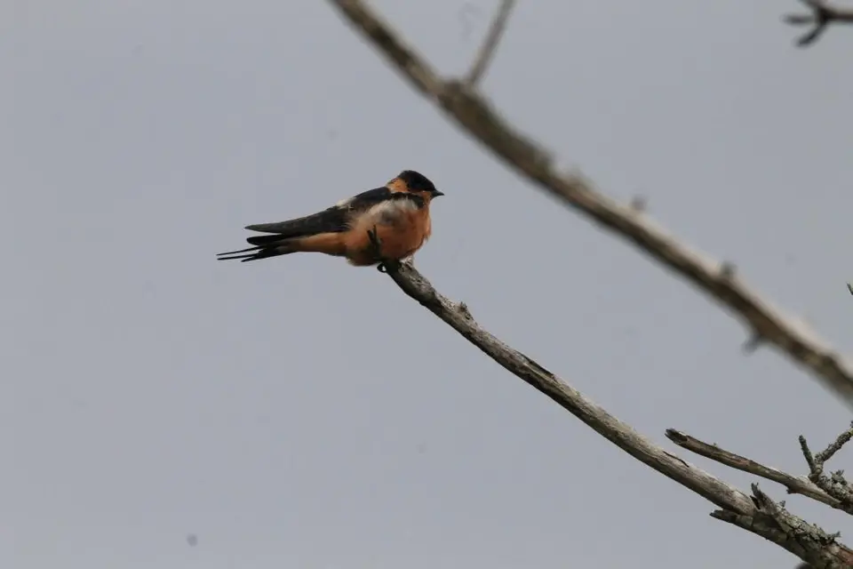 KZN16.jpg(214).jpg