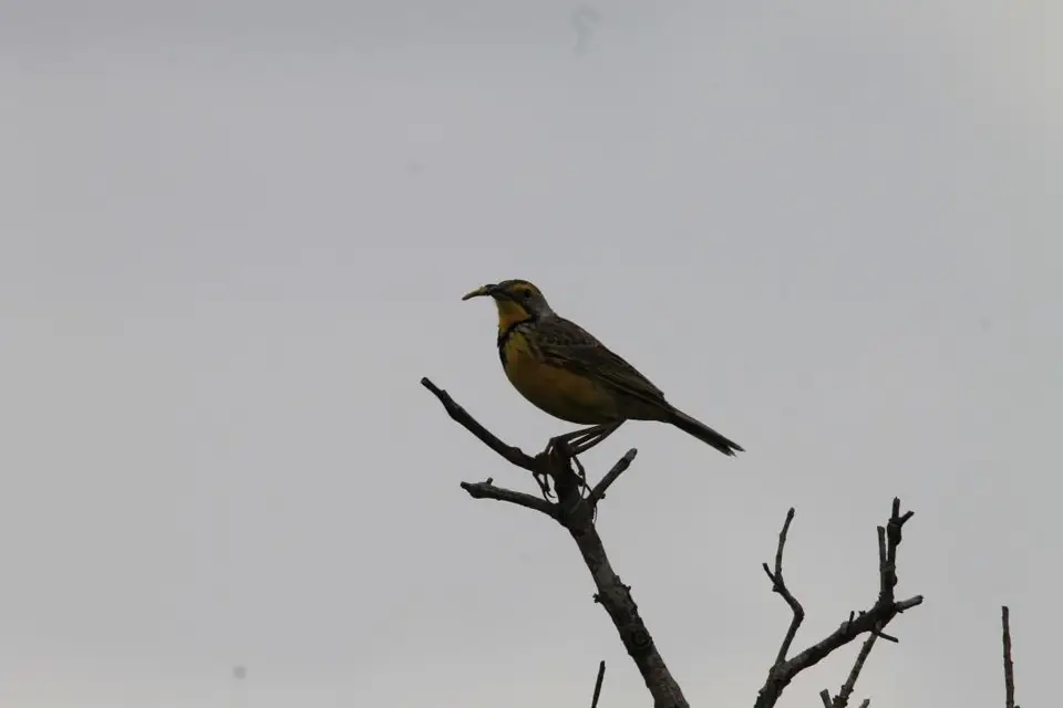 KZN16.jpg(216).jpg