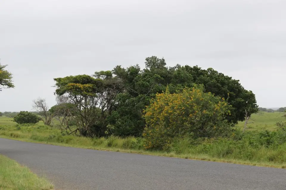 KZN16.jpg(24).jpg