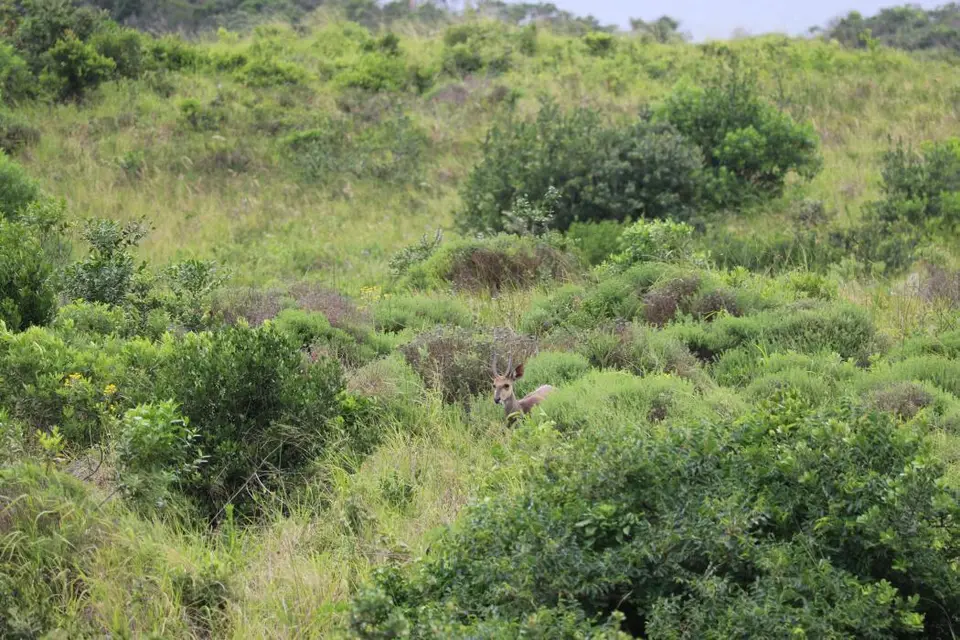KZN16.jpg(28).jpg
