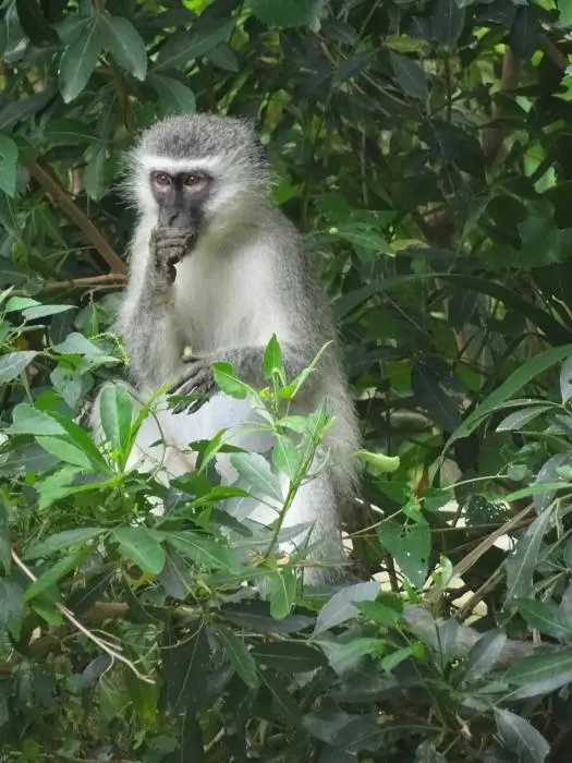 KZN16.jpg(60).jpg