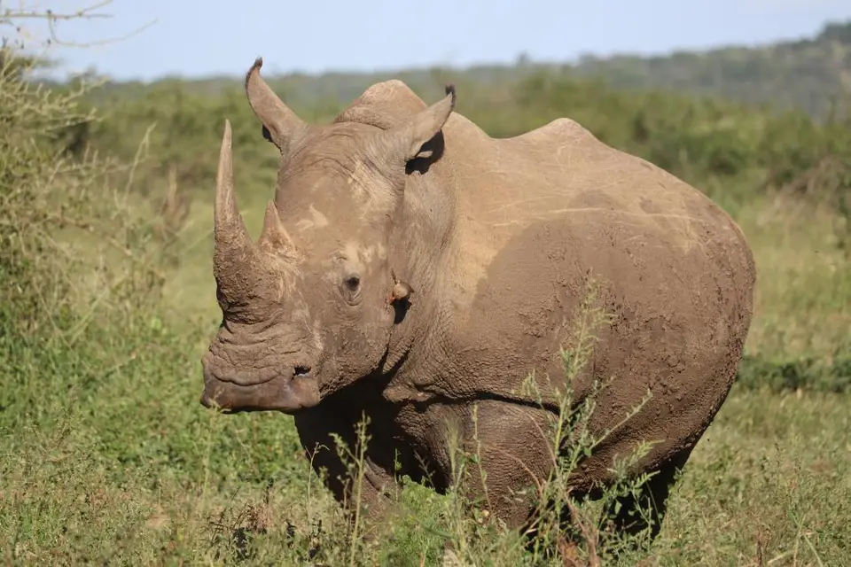 KZN17.jpg(116).jpg