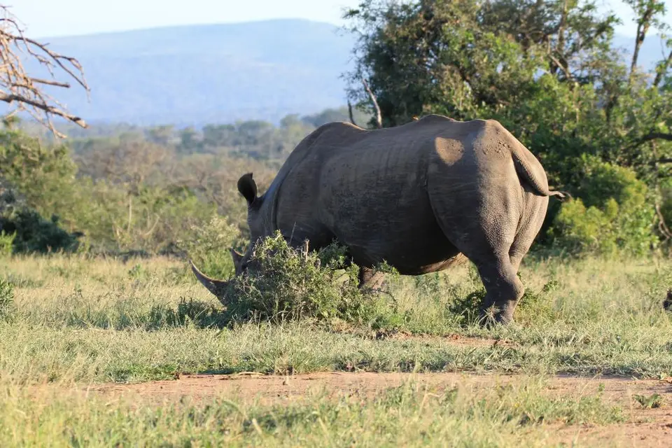 KZN17.jpg(156).jpg
