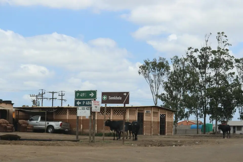 KZN17.jpg(17).jpg