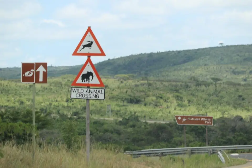 KZN17.jpg(22).jpg