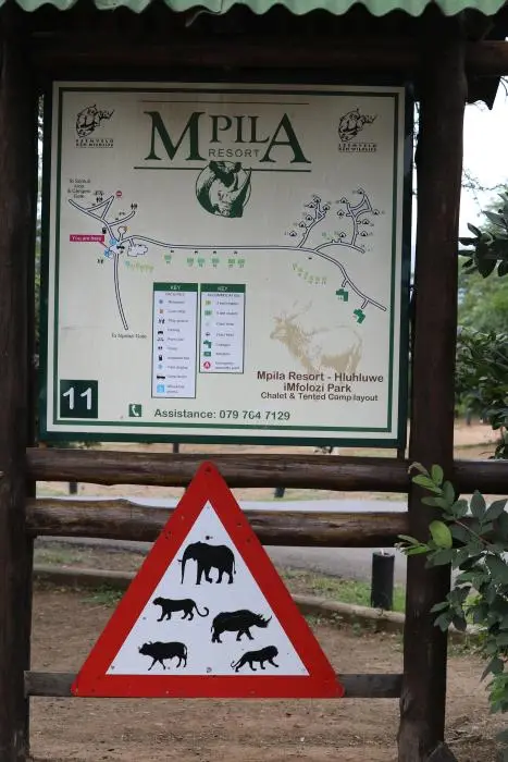 KZN17.jpg(73).jpg
