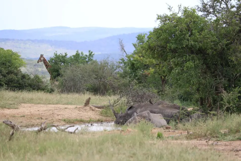 KZN17.jpg(92).jpg