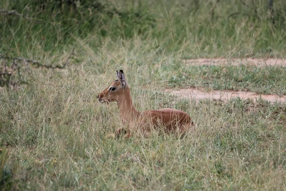 KZN17.jpg(94).jpg