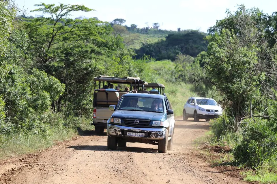 KZN18.jpg(146).jpg