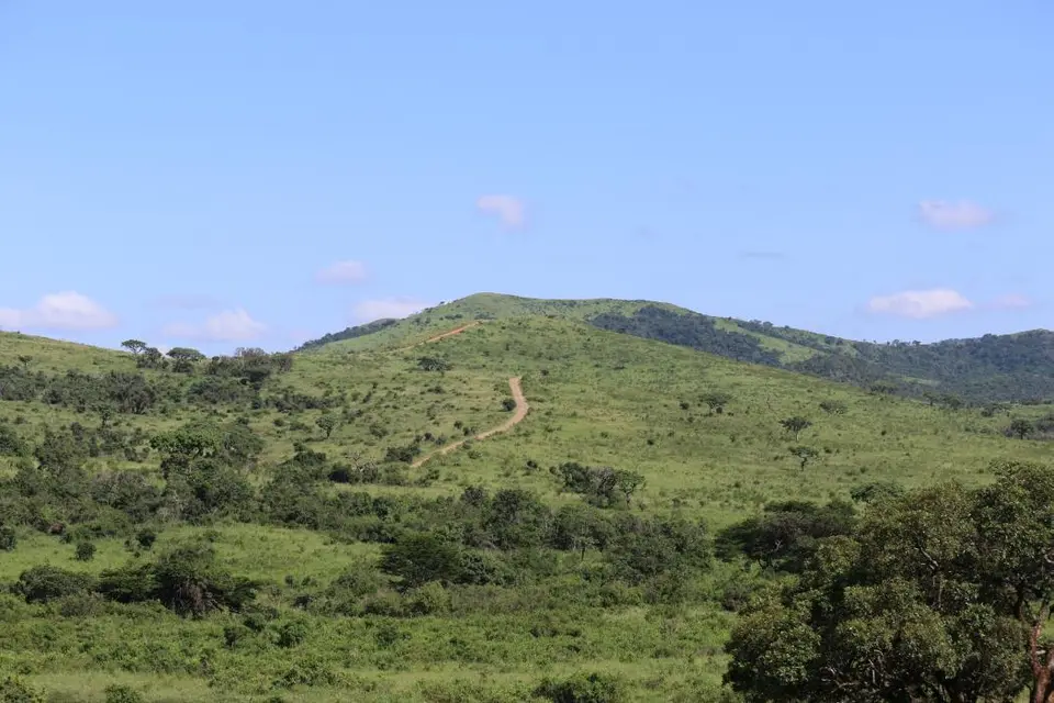 KZN18.jpg(156).jpg
