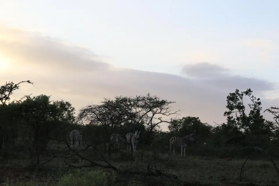 KZN18.jpg(18).jpg