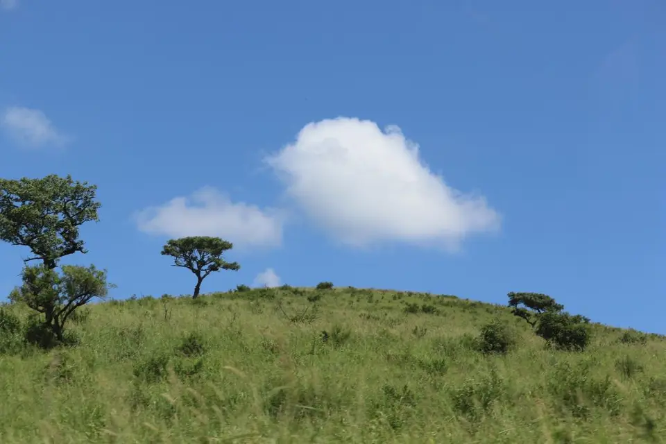 KZN18.jpg(199).jpg