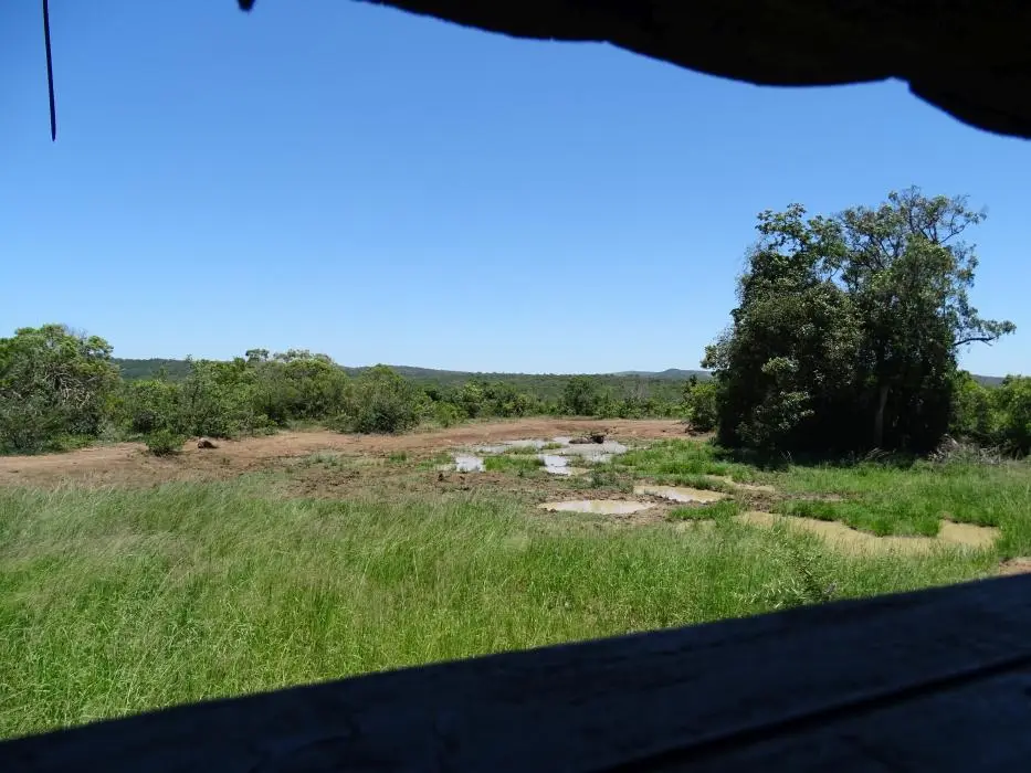KZN18.jpg(295).jpg