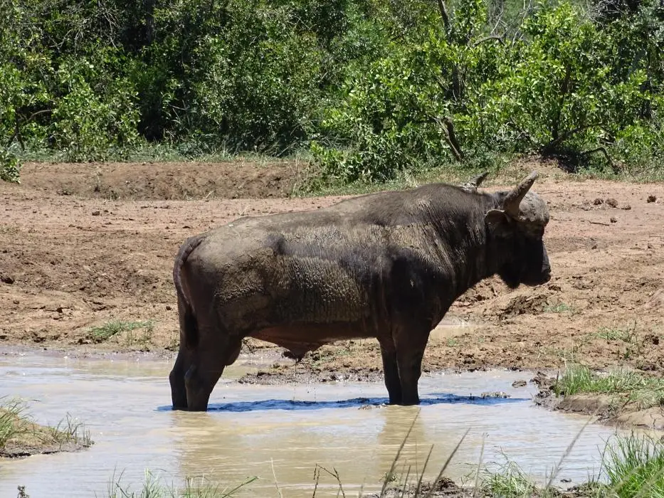 KZN18.jpg(298).jpg