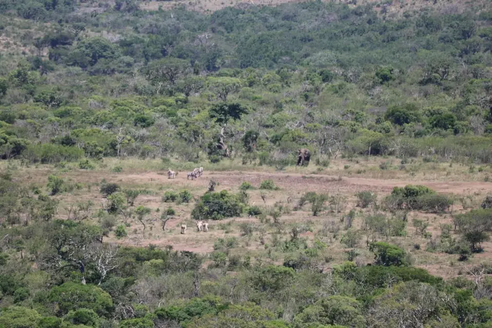 KZN18.jpg(336).jpg