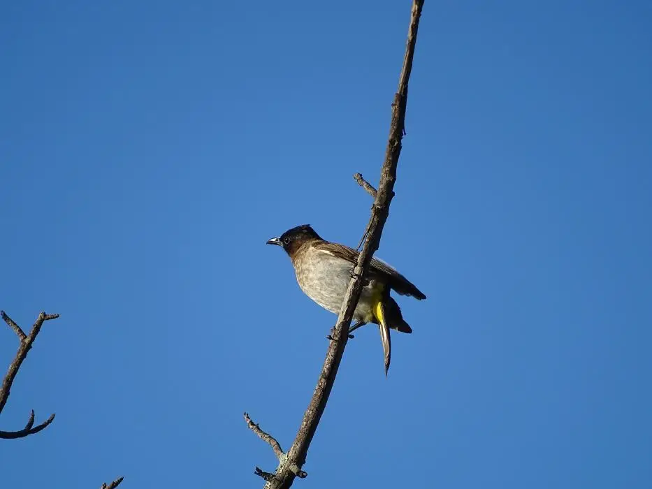 KZN18.jpg(355).jpg