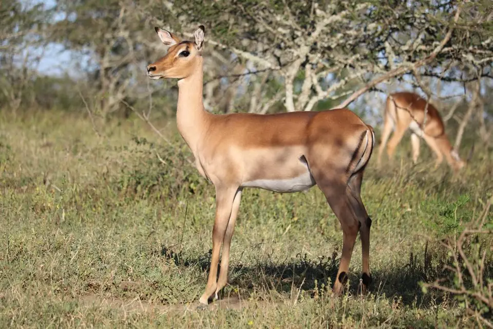 KZN18.jpg(364).jpg