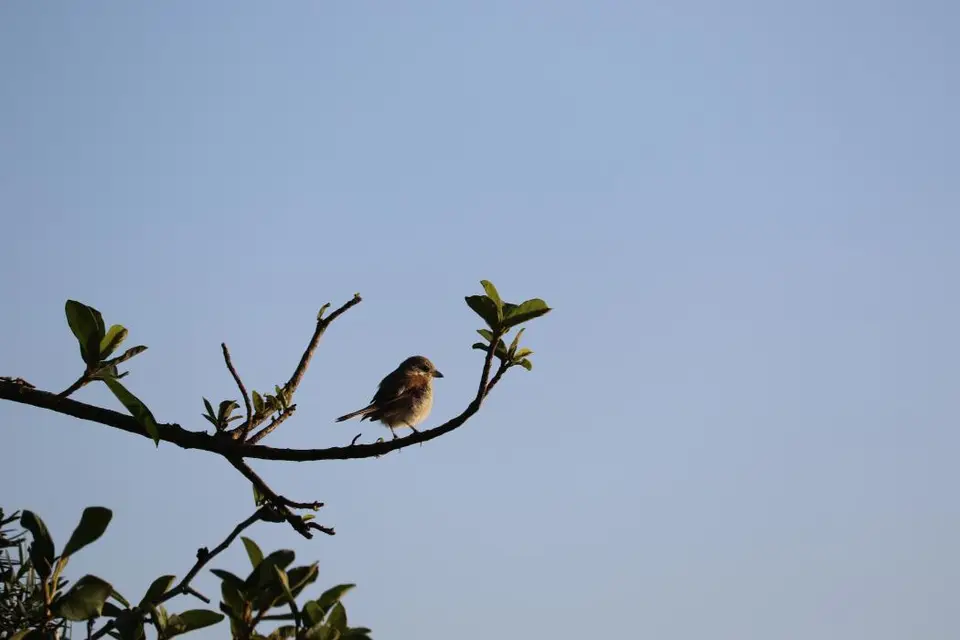 KZN18.jpg(55).jpg