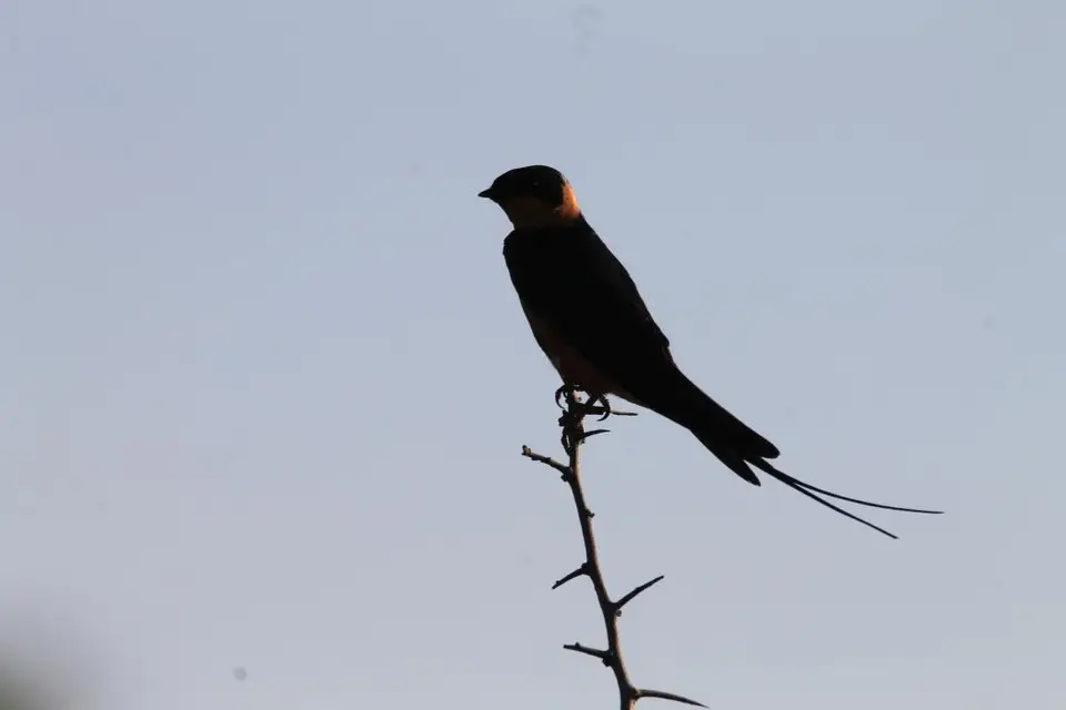 KZN18.jpg(66).jpg