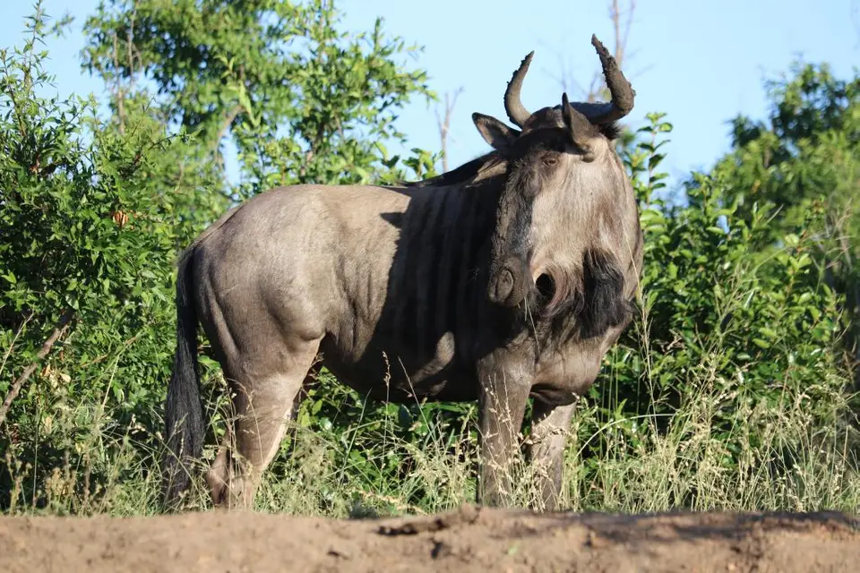 KZN18.jpg(72).jpg